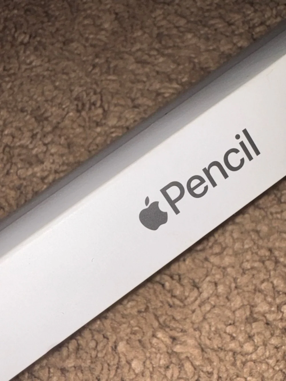 Pencil Box on Carpet